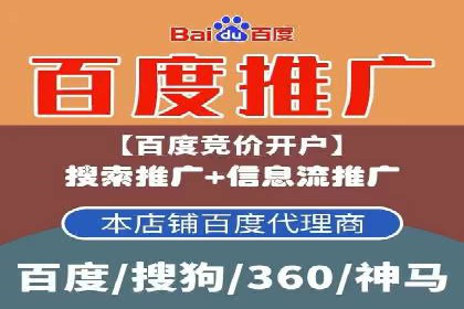 百度竞价包年推广策略——某行业巨头的成功经验